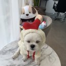 원샵헤어