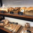 bread O(브레드오)