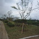 오창중앙병원 이미지