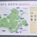 치악산둘레길 11코스 한가터길 이미지