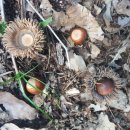 방글농장 이미지