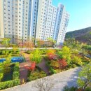 뉴세종공인중개사사무소 이미지