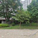 포산초등학교 이미지