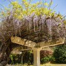 성산패총 이미지