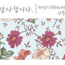 손커피연구소오매기점