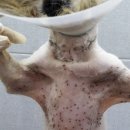 운정한빛동물병원 이미지