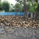 한가족농장 이미지