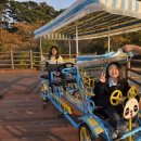 경포호 | [여행] 경포 호수 가족 사랑 자전거 1호점 이용후기 경포호 자전거 강릉 가족 여행 추천 코스