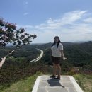 울진 도화동산🌸 , 나곡해수욕장 두다라운지