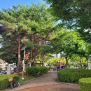 무지개어린이공원 이미지