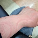 흑산도전복명가 이미지