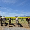 봉덕농장 이미지