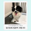 동보주유소 네이버블로그