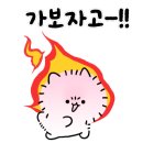 해바라기애견