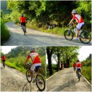 우포늪 자전거여행-신비의 숲, 환상 노을과 아침 풍경(물꿩과 가시연꽃) 이미지