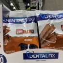 피제이덴탈 이미지