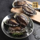 완도8호 이미지