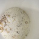 천마경로당 | ❄️ 겨울 아침대용으로 딱 좋은 차, 남녀노소 할머니도 좋아하는 우리차 천마차 후레이크