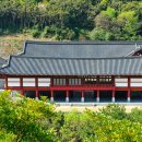 전라남도산림연구원완도수목원