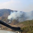 옥천산림