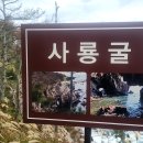 스테이사룡 이미지