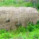 시골나그네민박 이미지