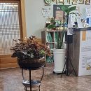 이덕기한의원 이미지