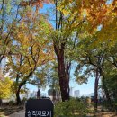성모당(聖母堂) | 죽음을 기억하라! 메멘토 모리, 성모당(33-1)