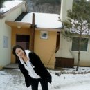 해미레2 네이버블로그