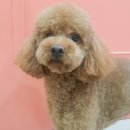 (주)강산에너지 이미지