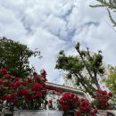 영동초등학교 앞 이미지