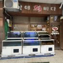 남해 회 해산물 | 평촌역 남해회바다 세꼬시 후기, 쏘맥이 생각날 때 가는 곳