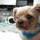 대우사우나 이미지