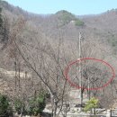 숲속의 펜션 이미지