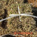 경안산소 이미지