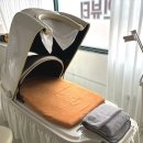 서면다이어트 더라인뷰티 바이오포톤 체험 후기 (인바디 비포애프터 공개!)