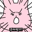 연어소생술 이미지