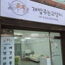 개밥주는고양이