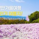 (주)우리여행사 티스토리