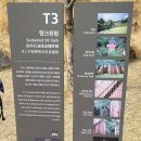 오동민원센터 | 마포 문화비축기지 해설사와 함께하는 시민투어 후기