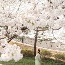 수원-1732 이미지