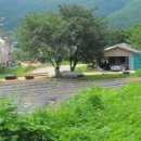 옻나무산약초민박 이미지