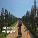 기로들꽃마을주 | 안성가볼만한곳_어른아이 다 재밌는 안성팜랜드(주차, 식당, 동물)
