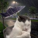 (주)콘텐츠 팩토리 | ep3] 신입 인턴의 리얼 출근기! 첫 주 솔직 후기_스나이퍼 팩토리 AI 콘텐츠 마케팅 인턴형 프로그램