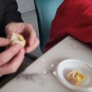 카멜리아호텔 네이버블로그