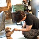 청담동물병원애견미용실 이미지