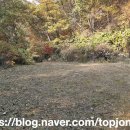 서종공인중개사사무소 이미지