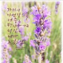 감성을 쓰다 캘리그라퍼 이미지