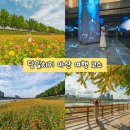 회상나루 관광안내센터 | 아산 여행] 곡교천 은행나무 길 &amp; 이순신 관광체험센터(여해 나루) 🚗 주차, 아이와 가볼 만한 전시/체험...