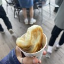 꼭새